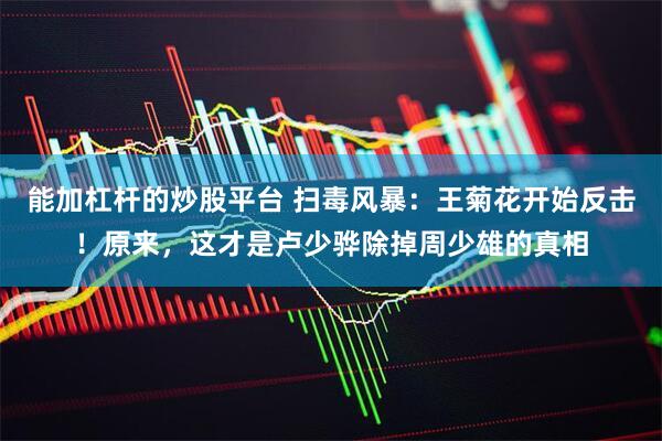能加杠杆的炒股平台 扫毒风暴：王菊花开始反击！原来，这才是卢少骅除掉周少雄的真相