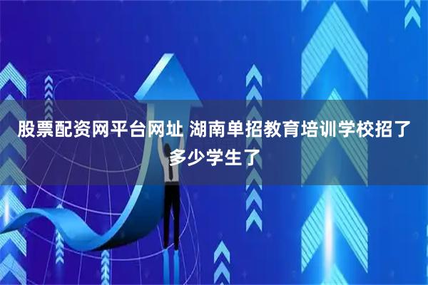 股票配资网平台网址 湖南单招教育培训学校招了多少学生了